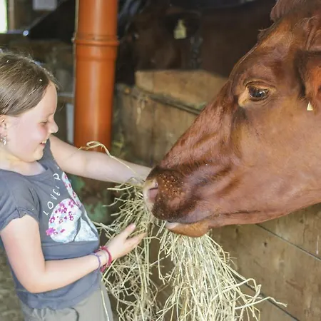Pfefferbauer Saalbach-Hinterglemm