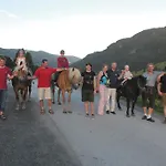 Pfefferbauer * Saalbach-Hinterglemm