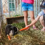 Gospodarstwo agroturystyczne Pfefferbauer