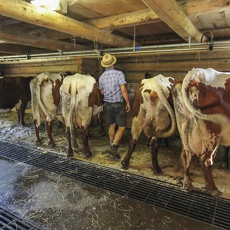 Pfefferbauer Saalbach-Hinterglemm