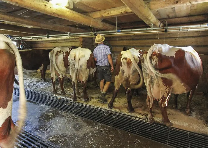 Pfefferbauer Saalbach Hinterglemm