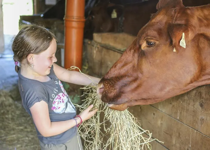 Pfefferbauer Σάαλμπαχ-Χίντεργκλεμ