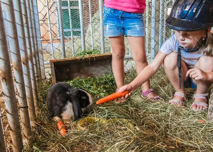 Κατάλυμα σε φάρμα Pfefferbauer